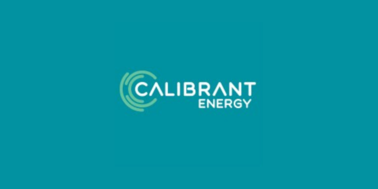 Cindy Workman Appointed as Chief People Officer at Calibrant Energy