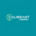 Cindy Workman Appointed as Chief People Officer at Calibrant Energy