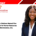 Adetayo Olatinwo Named Vice President for Human Resources at Glenmeadow, Inc.